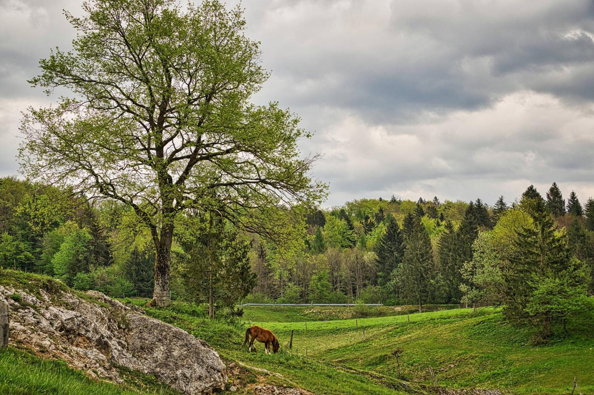 Campingplatz Cowboy's Land Visnja Gora