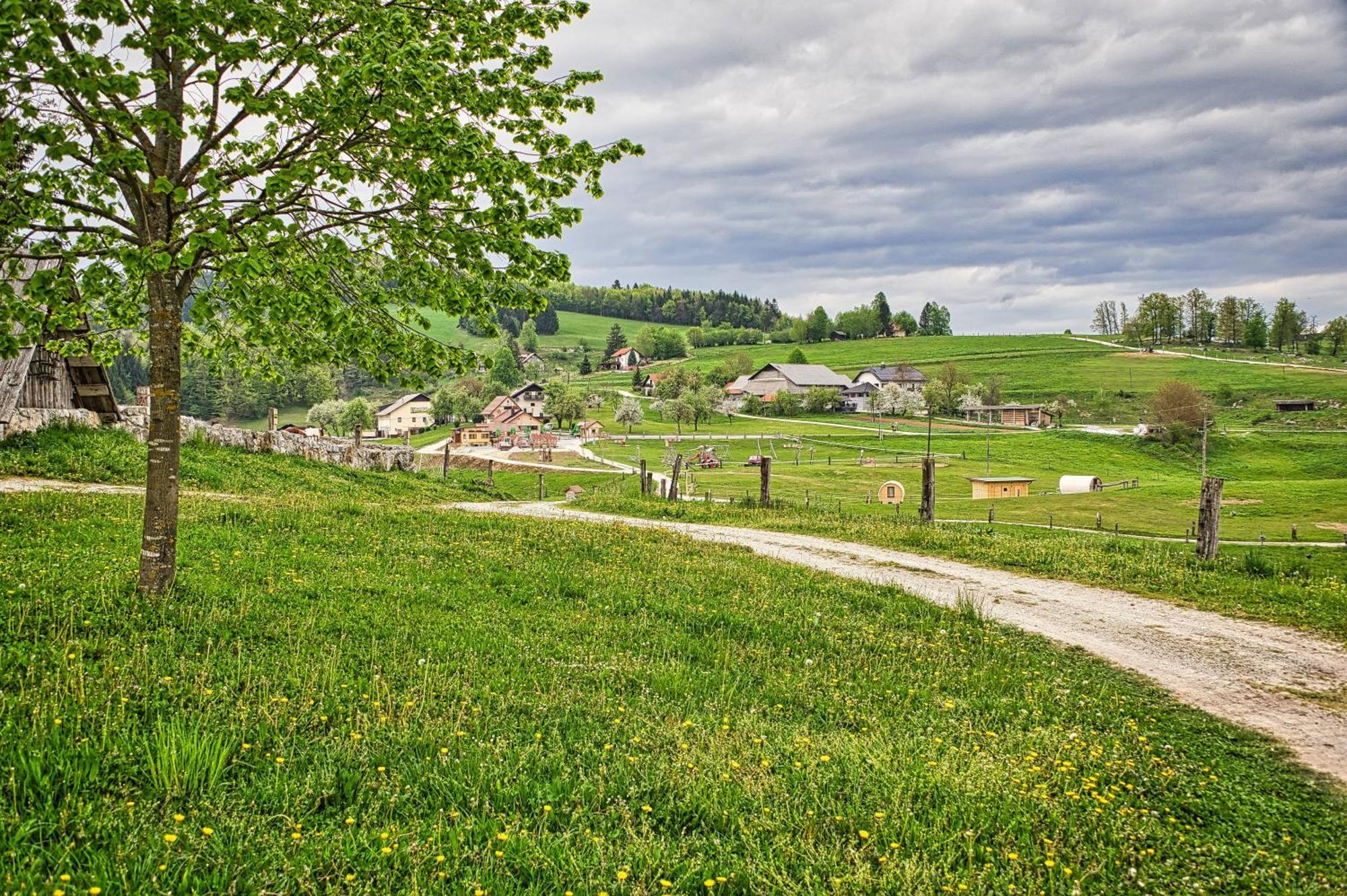 Cowboy's Land *