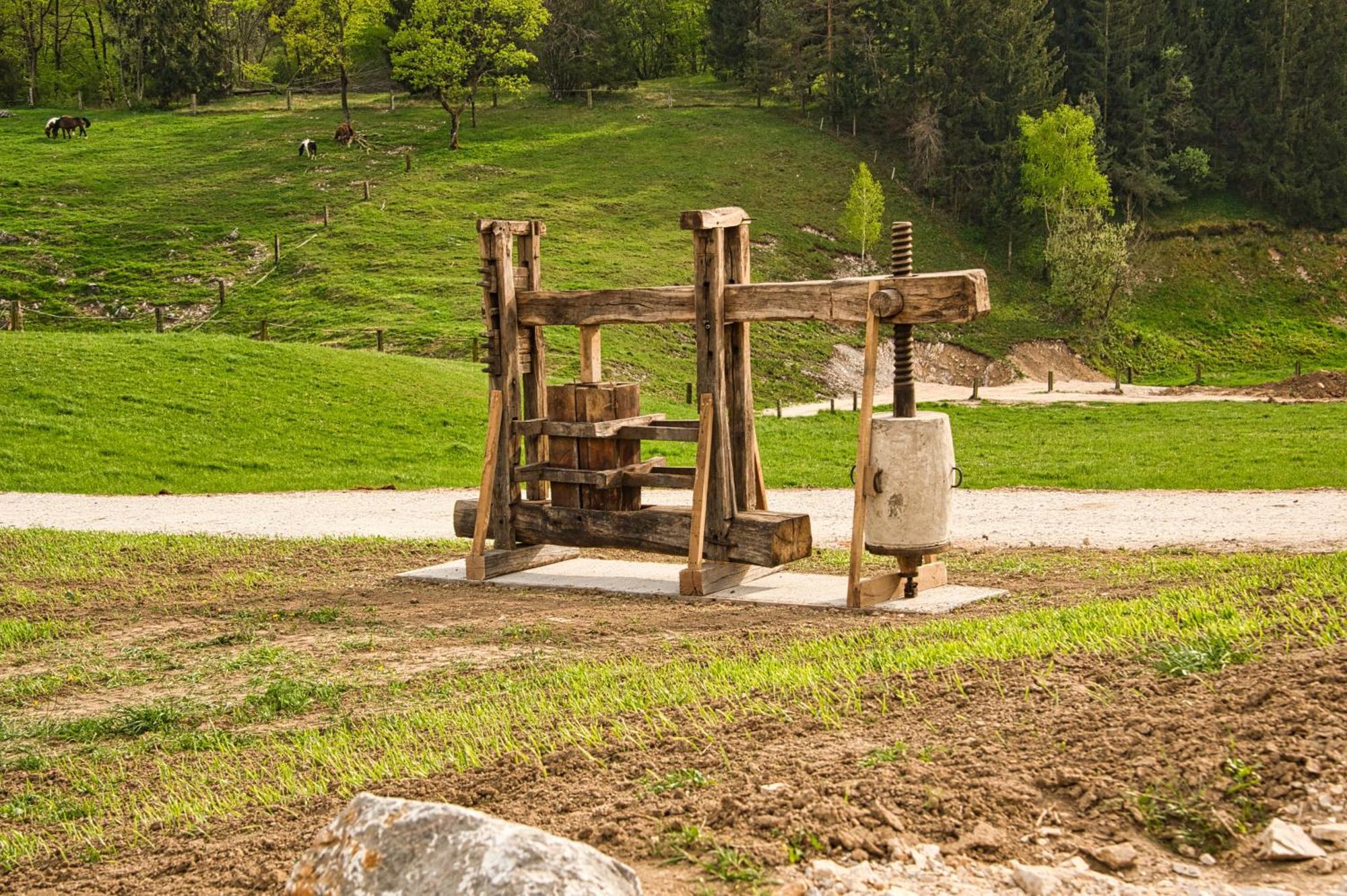 Cowboy's Land