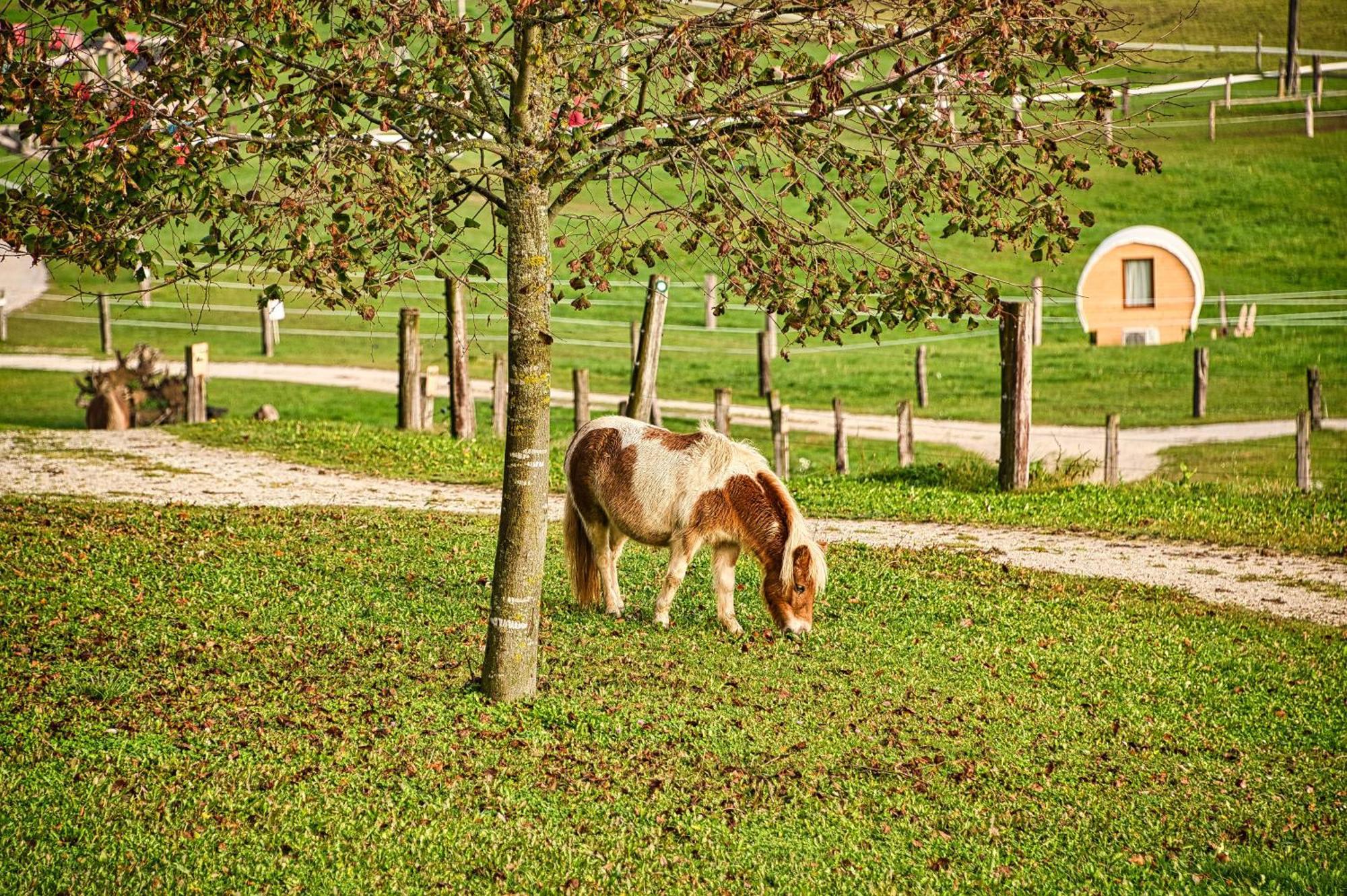 Campingplatz Cowboy's Land Visnja Gora