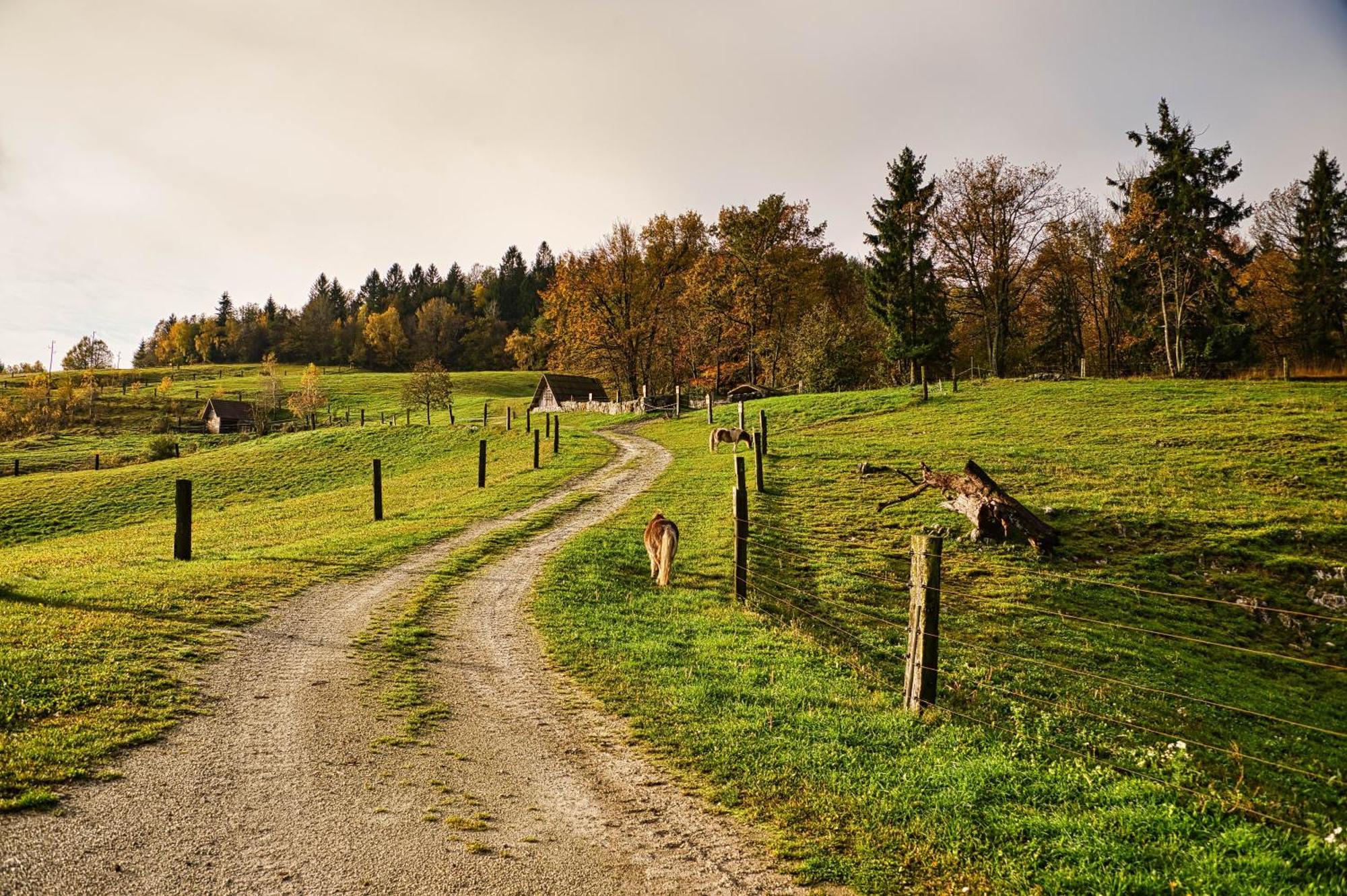 Cowboy's Land *