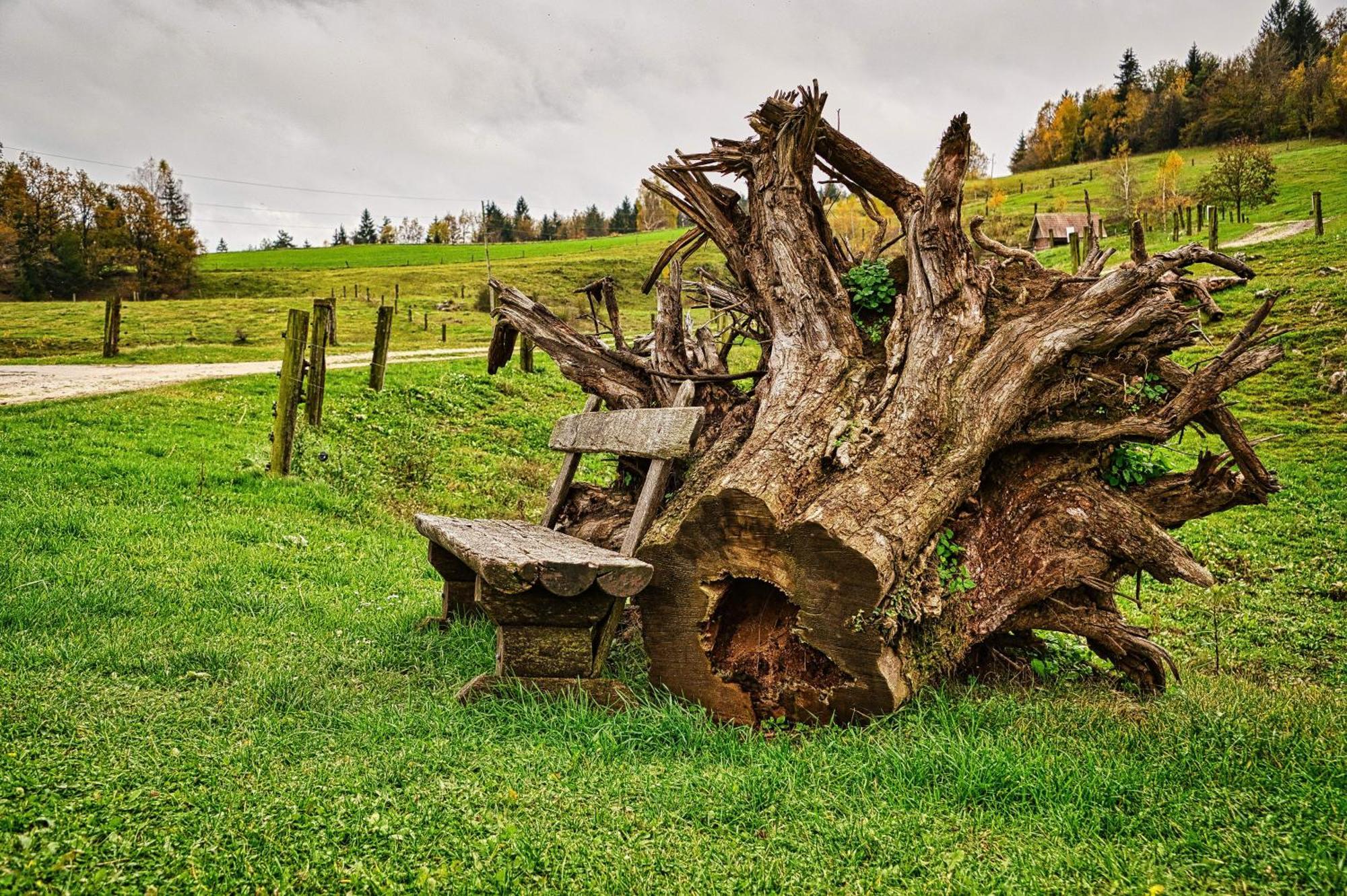 Cowboy's Land * Visnja Gora